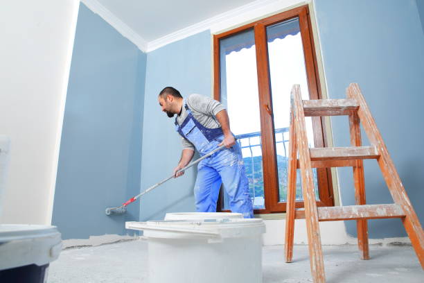 Best Mold Odor Removal Services  in Svis, IL