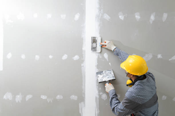 Mold Removal for HVAC Installations in Silvis, IL