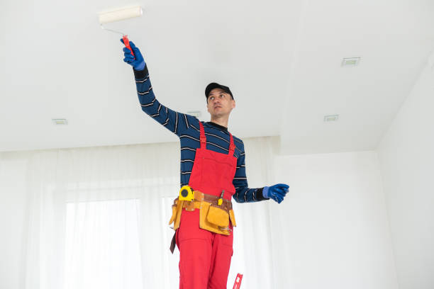 Best Mold Removal for HVAC Installations  in Svis, IL