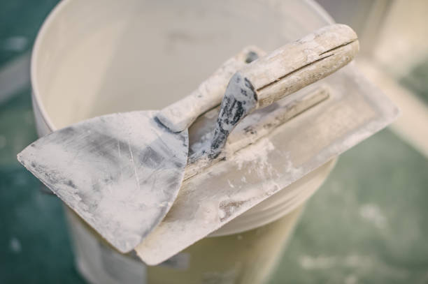 Best Emergency Mold Remediation  in Svis, IL